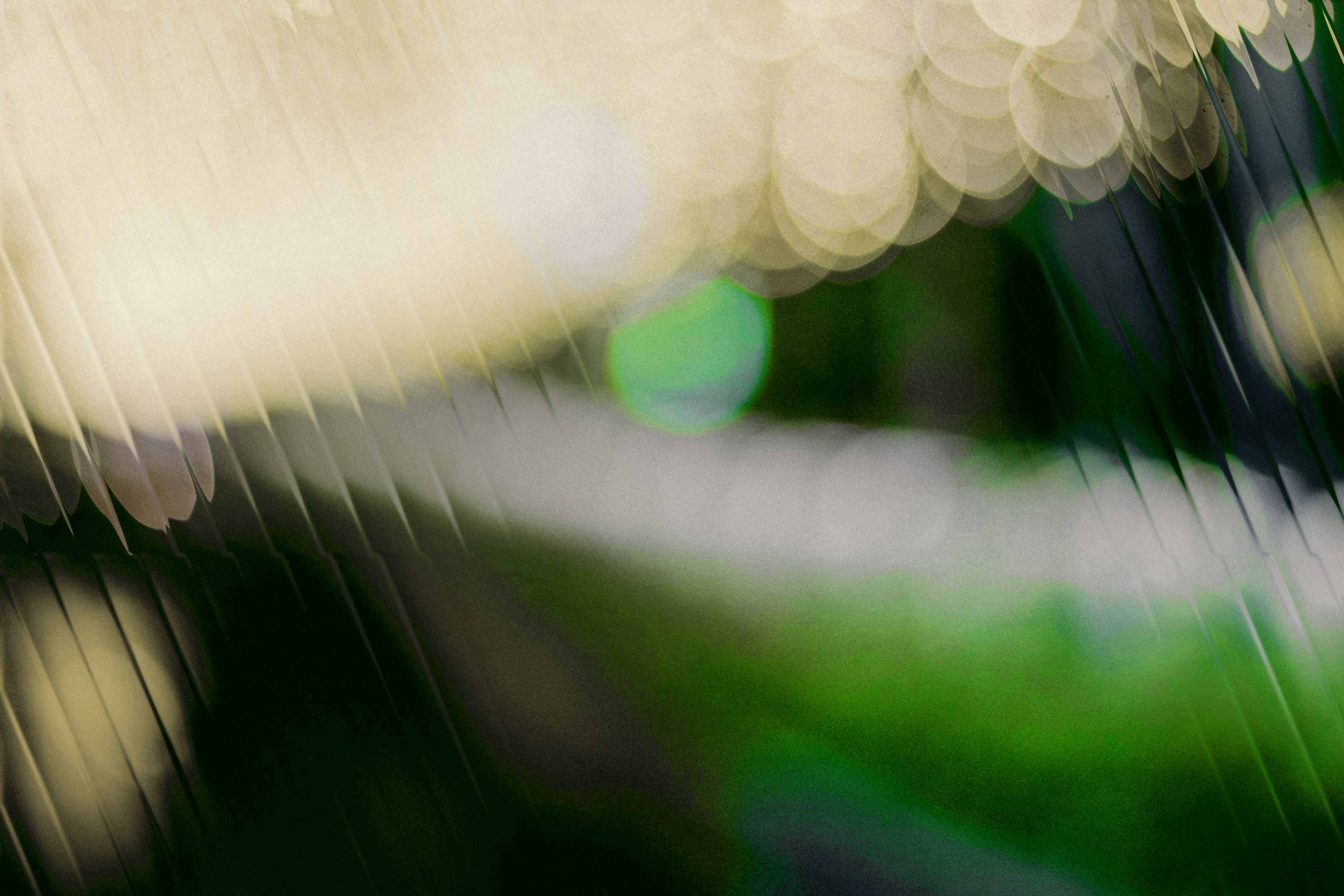 Calm image 2