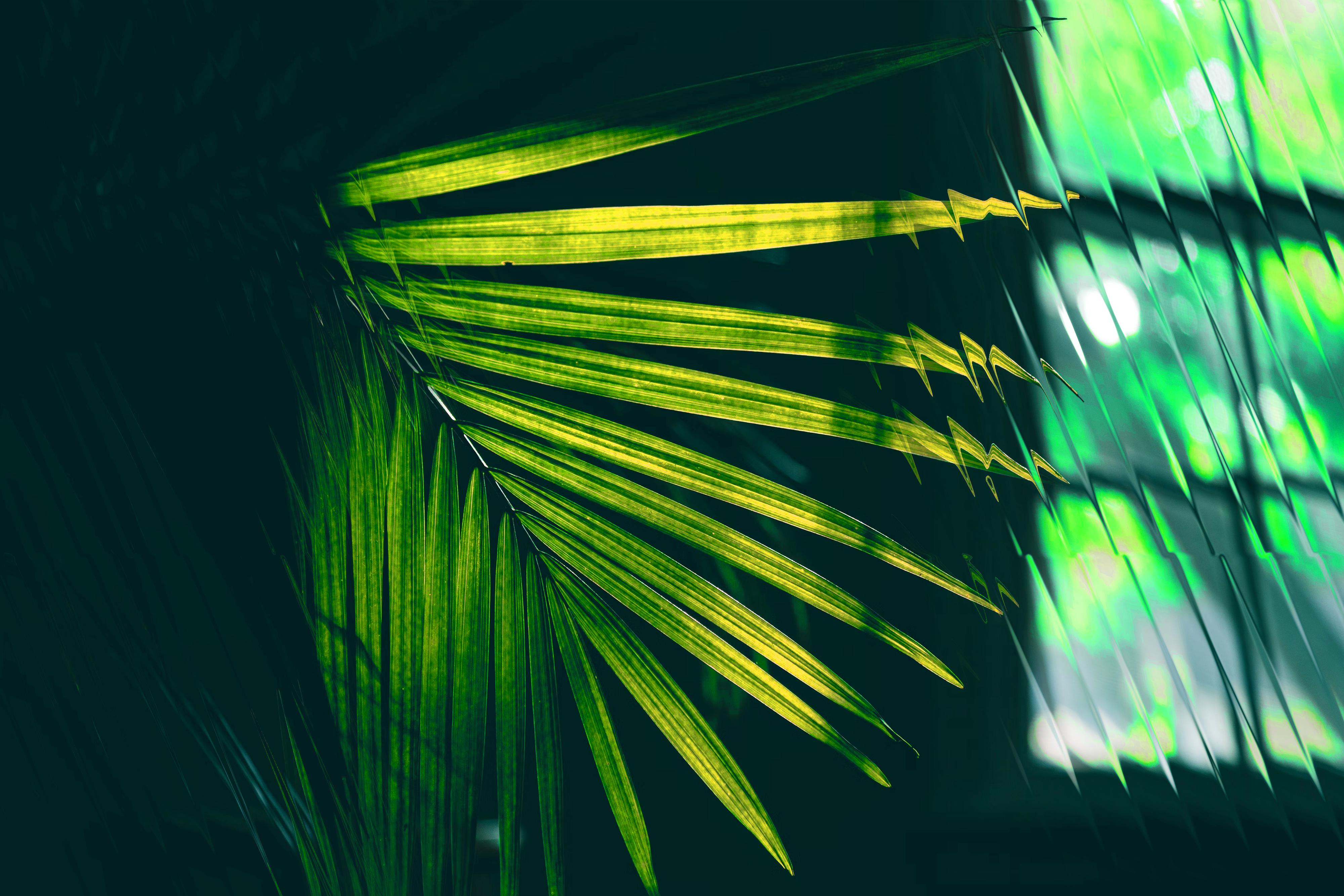 Calm image 4